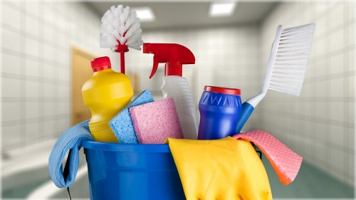 Professional carpet cleaning team in Enfield preparing a living room carpet