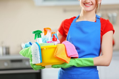 Professional home cleaning services in Enfield living room and kitchen