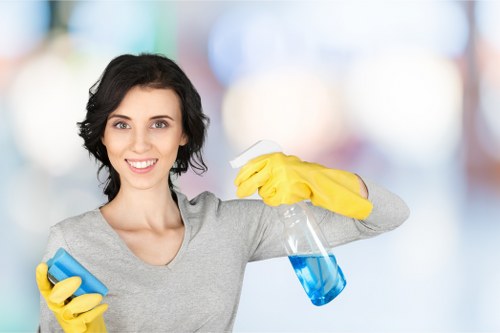 Deep cleaning carpet fibres in an Enfield property