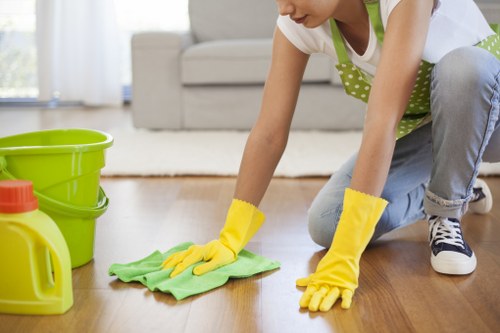 Deep carpet cleaning for busy household flooring