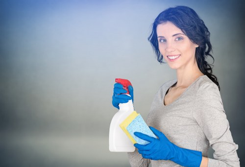 Modern window cleaning equipment used for Enfield properties