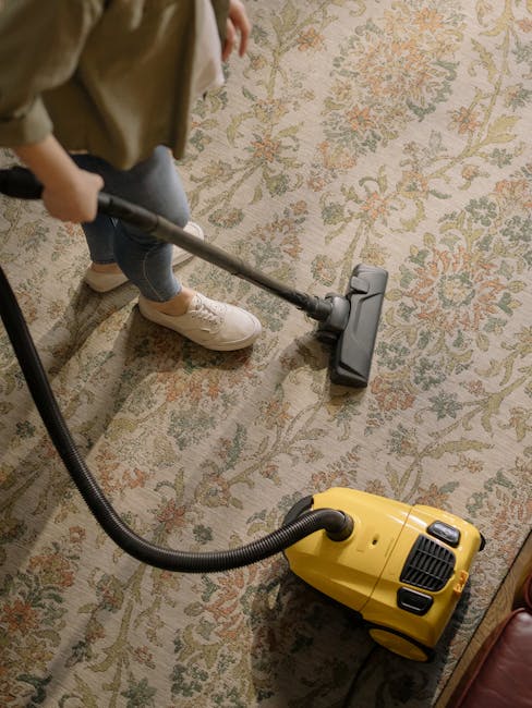 A close-up view of a carpet vacuum cleaner with a transparent dust container filled with debris, positioned on a pinkish-beige carpet in a residential room. The vacuum's flexible hose and nozzle are i